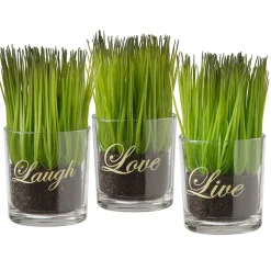 National Tree Company Potted Plants^ Artificial Potted Plant Set, Green Plant Sprouts, Square Glass Pot Base With Messages, Pack Of 3, Spring Collection, 6 Inches Each