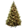 5Ft - 6Ft-National Tree Company Pre-Lit 'Feel Real' Artificial Full Christmas Tree, Green, Carolina Pine, Clear Lights, Flocked With Pine Cones, Includes Stand, 6.5 Feet