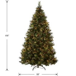 5Ft - 6Ft-National Tree Company Pre-Lit 'Feel Real' Artificial Full Christmas Tree, Green, Carolina Pine, Clear Lights, Flocked With Pine Cones, Includes Stand, 6.5 Feet