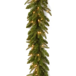 7' To 10' Garland-National Tree Company Pre-Lit 'Feel Real' Artificial Christmas Garland, Green, Frasier Grande, White Lights, Plug In, Christmas Collection, 9 Feet