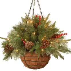Christmas Greenery-National Tree Company Pre-Lit 'Feel Real' Artificial Christmas Hanging Basket, Colonial, Decorated With Frosted Pine Cones, Berry Clusters, White Lights, Christmas Collection, 20 Inches