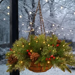 Christmas Greenery-National Tree Company Pre-Lit 'Feel Real' Artificial Christmas Hanging Basket, Colonial, Decorated With Frosted Pine Cones, Berry Clusters, White Lights, Christmas Collection, 20 Inches