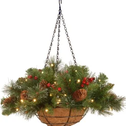 Christmas Greenery-National Tree Company , Pre-Lit Artificial Hanging Basket Crestwood Spruce With Battery Powered Operated Led Lights, With Warm White Led Lights, Battery Powered, Christmas Collection, 16 In