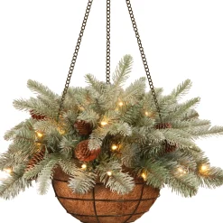 Christmas Greenery-National Tree Company Pre-Lit 'Feel Real' Artificial Christmas Hanging Basket, Arctic Spruce, Decorated With Frosted Pine Cones, White Lights, Christmas Collection, 20 Inches