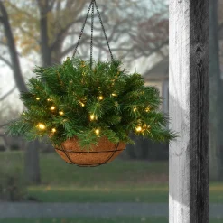 Christmas Greenery-National Tree Company Pre-Lit Artificial Christmas Hanging Basket, Tiffany Fir, Decorated With Frosted Pine Cones, Berry Clusters, White Lights, Christmas Collection, 20 Inches