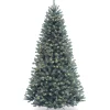 National Tree Company Full^North Valley® Blue Spruce Tree