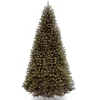 National Tree Company Full^North Valley® Spruce Tree