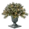 Christmas Greenery-National Tree Company Pre Lit Artificial Shrub, Glittery Bristle Pine, Decorated With Frosted Branches, Pine Cones, Twinkly Led Lights, Includes Stylish Black Base, Plug In, Christmas Collection, 24 Inches