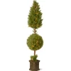 National Tree Company Potted Plants^Pre-Lit 72" Artificial Juniper Spiral