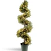 Topiaries / Shurbs-National Tree Company Pre-Lit 60" Artificial Juniper Spiral