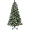 National Tree Company Full^Pre-Lit Artificial Christmas Tree, Conconully Pine, With Warm White Led Lights, Plug In, 7.5 Ft