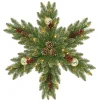 Christmas Greenery-National Tree Company Pre-Lit Artificial Christmas Hanging Snowflake, Green, Dunhill Fir, Decorated With Pine Cones, Berry Clusters, Frosted Branches, Christmas Collection, 32 Inches