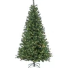 7Ft - 9Ft-National Tree Company Pre-Lit Artificial Christmas Tree, Cedar Spruce, With Warm White Led Lights, Plug In, 7.5 Ft