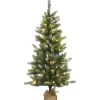 5Ft - 6Ft-National Tree Company Pre-Lit Artificial Christmas Tree, Trinity Spruce, With Warm White Led Lights, Plug In, 4.5 Ft