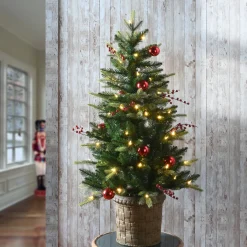 Slim-National Tree Company Pre-Lit Artificial Christmas Entrance Tree, Scotch Creek Fir, With Warm White Led Lights, Plug In, 4 Ft