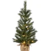 National Tree Company Full^Pre-Lit Artificial Christmas Tree, Green, Frosted Ontario Pine, White Led Lights, Includes Cloth Bag Base, Battery Operated, 3 Feet