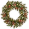 25" To 36" Wreath-National Tree Company Pre-Lit Artificial Christmas Wreath, Green, Frosted Pine, White Lights, Decorated With Pine Cones, Berry Clusters, Frosted Branches, Christmas Collection, 30 Inches