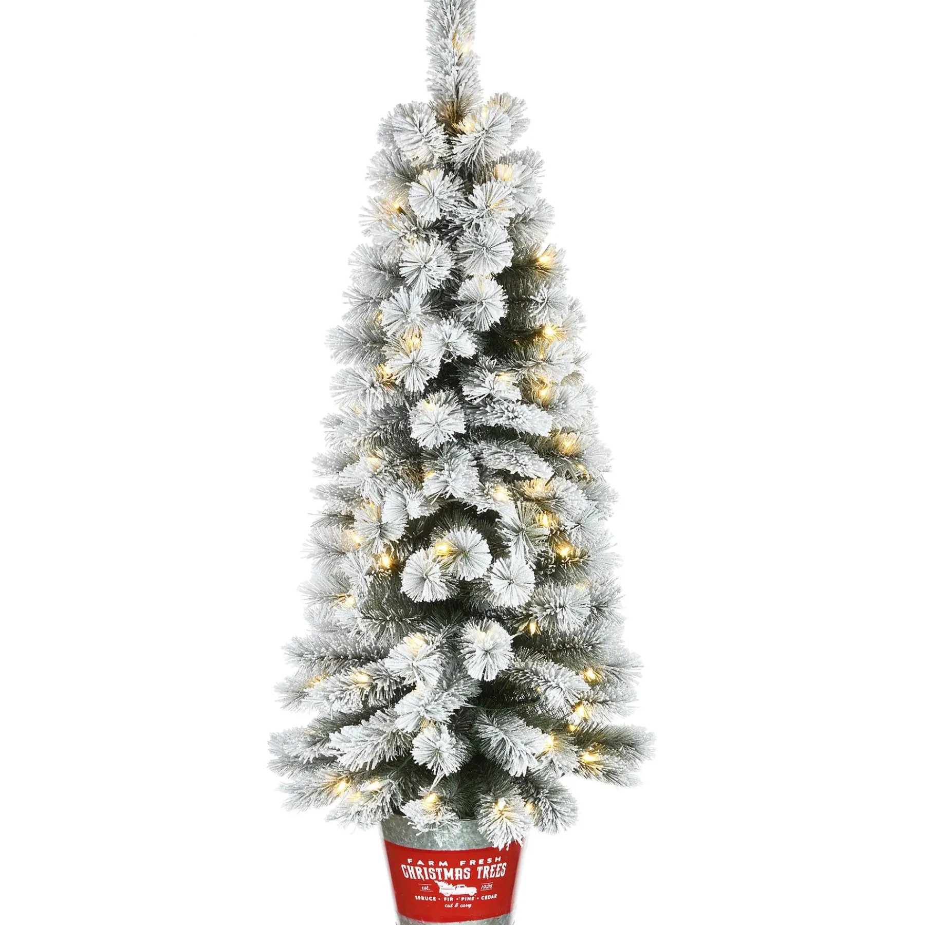 5Ft - 6Ft-National Tree Company Pre-Lit Artificial Christmas Entrance Tree, Snowy Pogue Pine, With Warm White Led Lights, Plug In, 5 Ft
