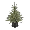 Slim-National Tree Company Pre-Lit Artificial Christmas Entrance Tree, Blue Evergreen , Dual Rice Led Lights, Plug In, 48 In