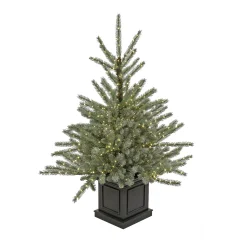 Slim-National Tree Company Pre-Lit Artificial Christmas Entrance Tree, Blue Evergreen , Dual Rice Led Lights, Plug In, 48 In
