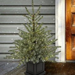 Slim-National Tree Company Pre-Lit Artificial Christmas Entrance Tree, Blue Evergreen , Dual Rice Led Lights, Plug In, 48 In