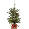 Warm White Led-National Tree Company Pre-Lit Artificial Christmas Tree, Green, Snowy Morgan Spruce, White Led Lights, Decorated With Pine Cones, Includes Cloth Bag Base, Battery Operated, 2 Feet