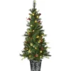 National Tree Company Slim^Pre-Lit Artificial Christmas Entrance Tree, Buzzard Pine, With Warm White Led Lights, Plug In, 5 Ft