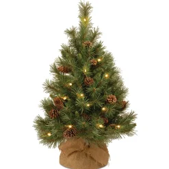 Warm White Led-National Tree Company Pre-Lit Artificial Christmas Tree, Green, Pine Cone, White Led Lights, Includes Cloth Bag Base, Battery Operated, 3 Feet