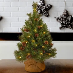 Warm White Led-National Tree Company Pre-Lit Artificial Christmas Tree, Green, Pine Cone, White Led Lights, Includes Cloth Bag Base, Battery Operated, 3 Feet