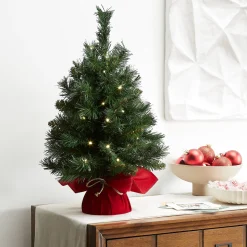 Warm White Led-National Tree Company Pre-Lit Artificial Christmas Tree, Green, Majestic Fir, White Led Lights, Includes Cloth Bag Base, Battery Operated, 24 Inches