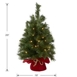 Warm White Led-National Tree Company Pre-Lit Artificial Christmas Tree, Green, Majestic Fir, White Led Lights, Includes Cloth Bag Base, Battery Operated, 24 Inches
