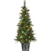 5Ft - 6Ft-National Tree Company Pre-Lit Artificial Christmas Entrance Tree, Buzzard Pine, With Warm White Led Lights, Plug In, 5 Ft