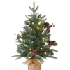 5Ft - 6Ft-National Tree Company Pre-Lit Artificial Christmas Tree, Happy Hill Pine, With Warm White Led Lights, Plug In, 2 Ft