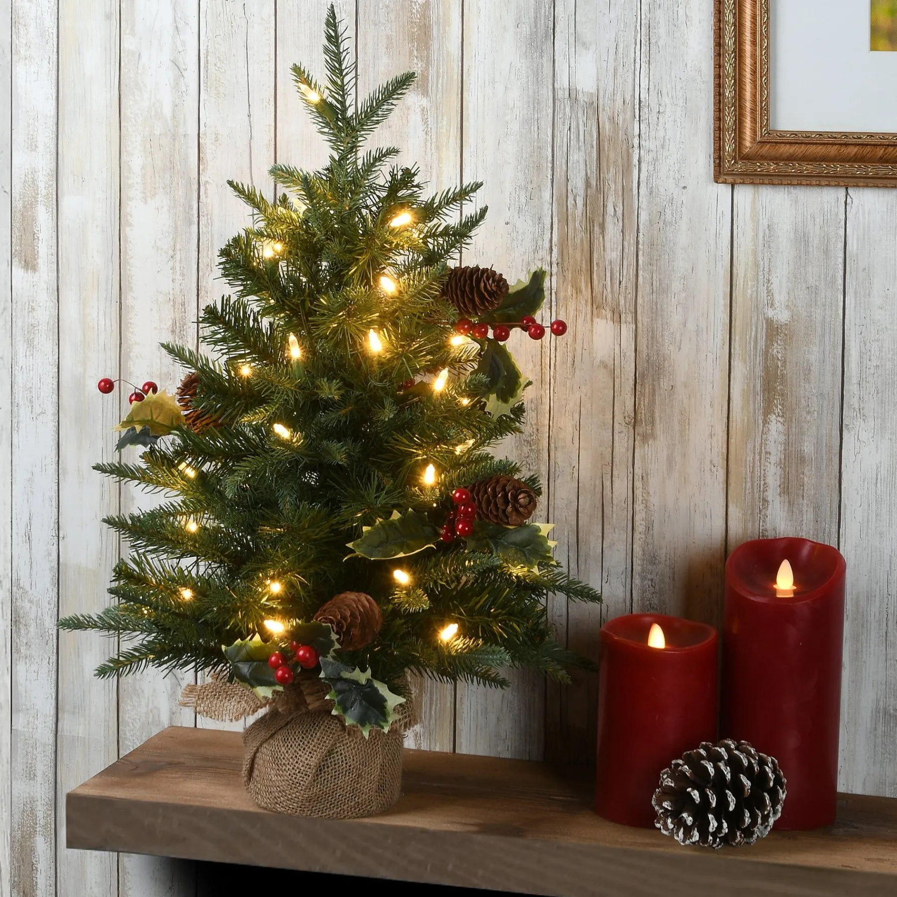 5Ft - 6Ft-National Tree Company Pre-Lit Artificial Christmas Tree, Happy Hill Pine, With Warm White Led Lights, Plug In, 2 Ft