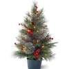 Warm White Led-National Tree Company Pre-Lit Artificial Christmas Tree, Green, Colonial Fir, White Led Lights, Decorated With Berry Clusters, Pine Cones, Includes Pot Base, Battery Operated, 2 Feet