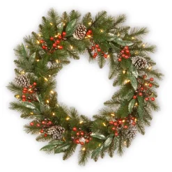 21" To 24" Wreath-National Tree Company Pre-Lit Artificial Christmas Wreath, Green, Frosted Berry, White Lights, Decorated With Frosted Branches, Pine Cones, Christmas Collection, 24 Inches