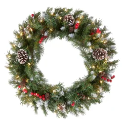 21" To 24" Wreath-National Tree Company Pre-Lit Artificial Christmas Wreath, Green, Frosted Berry, White Lights, Decorated With Pine Cones, Berry Clusters, Frosted Branches, Christmas Collection, 24 Inches