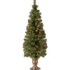 Under 5Ft-National Tree Company Pre-Lit Artificial Entrance Christmas Tree, Montclair Spruce, Green, White Lights, Includes Metal Base, 4 Feet