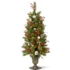 5Ft - 6Ft-National Tree Company Pre-Lit Artificial Entrance Christmas Tree, Frosted Berry Pine, Green, White Lights, Decorated With Berry Clusters, Pine Cones, Includes Metal Base, 4 Feet