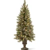 Slim-National Tree Company Pre-Lit Artificial Entrance Christmas Tree, Green, Glittery Bristle Pine, White Lights, Flocked With Pine Cones, Frosted Branches, Includes Stand, 5 Feet