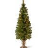 National Tree Company Slim^Pre-Lit Artificial Entrance Christmas Tree, Montclair Spruce, Green, White Lights, Includes Metal Base, 5 Feet
