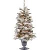 5Ft - 6Ft-National Tree Company Pre-Lit Artificial Entrance Christmas Tree, Snowy Camden, Green, White Lights, Includes Metal Base, 4 Feet