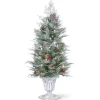 National Tree Company Slim^Pre-Lit Artificial Entrance Christmas Tree, Frosted Mountain Spruce, Green, White Lights, Decorated With Berry Clusters, Pine Cones, Includes Metal Base, 4 Feet