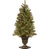 Under 5Ft-National Tree Company Pre-Lit Artificial Entrance Christmas Tree, Downswept Douglas Fir, Green, White Lights, Includes Metal Base, 4 Feet