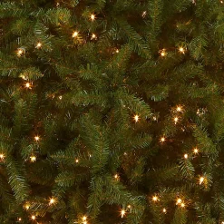 Full-National Tree Company Pre-Lit Artificial Full Christmas Tree, Green, White Lights, Includes Stand, 10 Feet