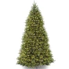 National Tree Company Full^Pre-Lit Artificial Full Christmas Tree, Green, Dunhill Fir, Dual Color Led Lights, Includes Powerconnect And Stand, 12 Feet