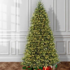 Led-National Tree Company Pre-Lit Artificial Full Christmas Tree, Green, Dunhill Fir, Dual Color Led Lights, Includes Powerconnect And Stand, 10 Feet