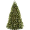 National Tree Company Full^Pre-Lit Artificial Full Christmas Tree, Green, Dunhill Fir, White Lights, Includes Stand, 9 Feet