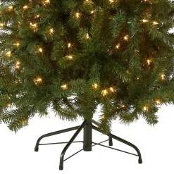 Full-National Tree Company Pre-Lit Artificial Full Christmas Tree, Green, North Valley Spruce, White Lights, Includes Stand, 5 Feet