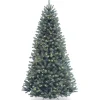 Full-National Tree Company Pre-Lit Artificial Full Christmas Tree, Blue, North Valley Spruce, White Lights, Includes Stand, 9 Feet
